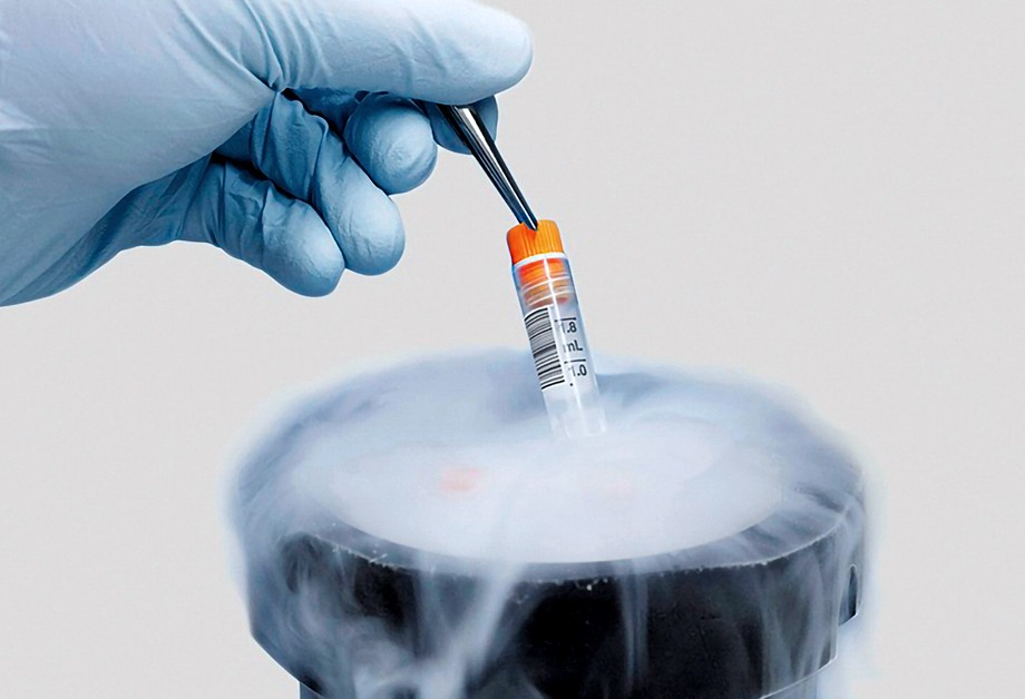 Gloved hand placing a labelled cryogenic vial into cryogenic storage